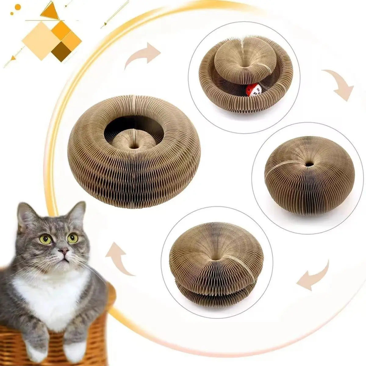"magic organ cat scratching board with ball"