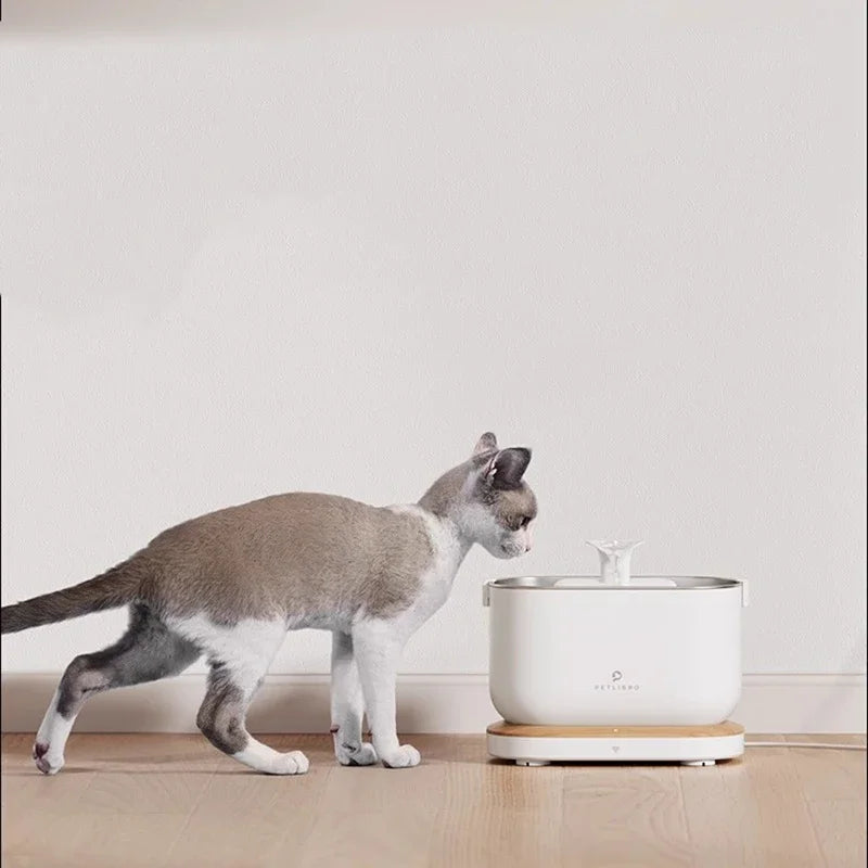 odour free plastic automatic cat feeder portable