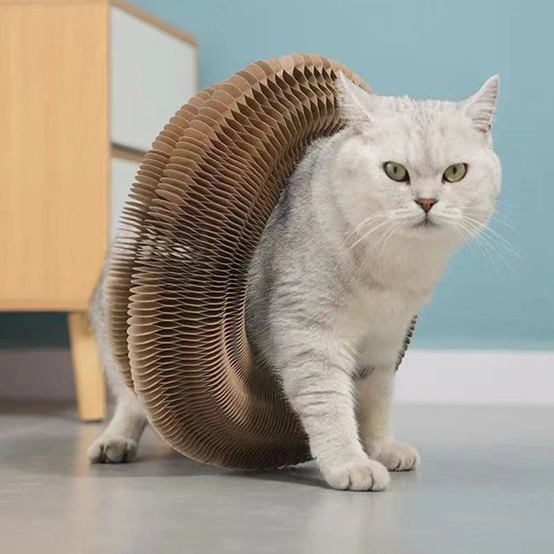 "multi-functional cat scratcher bed toy"