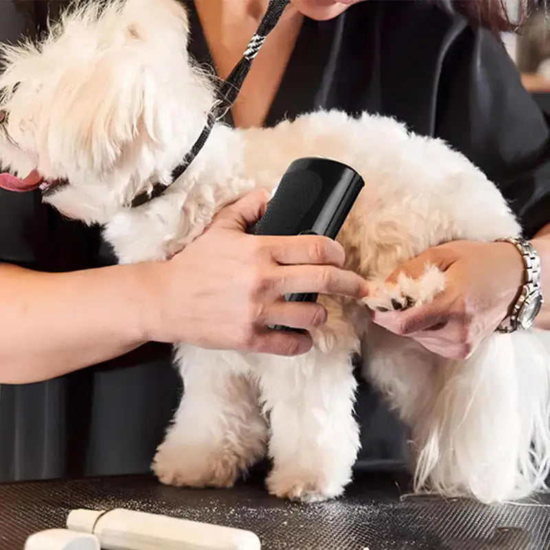 "pet hair remover brush for dogs and cats"