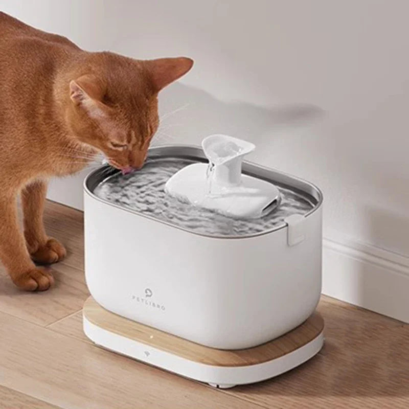 wireless cat food dispenser for consistent feeding