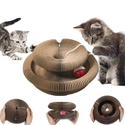 "magic organ cat scratching board with ball"