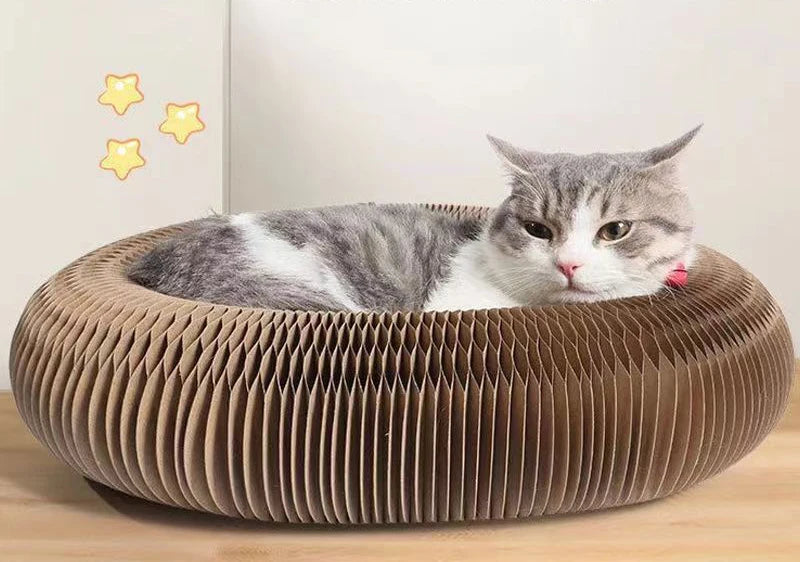 "cat toy scratcher prevents furniture damage"